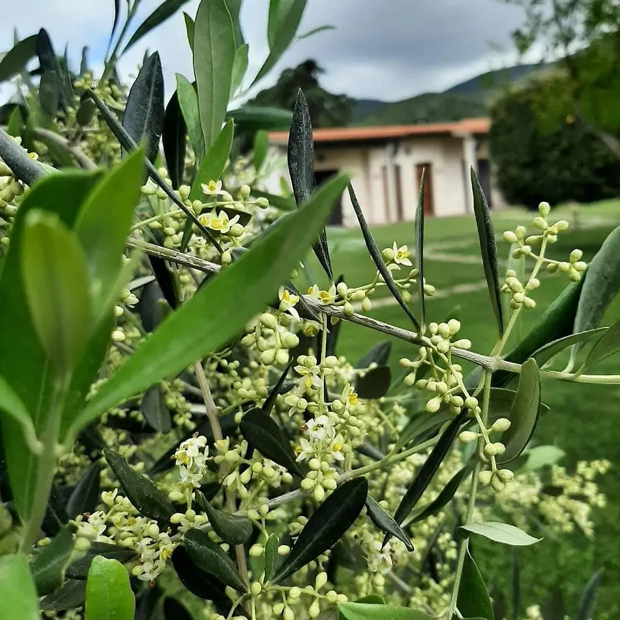 Agriturismovalbona Castiglione della Pescaia 0*,  Italy